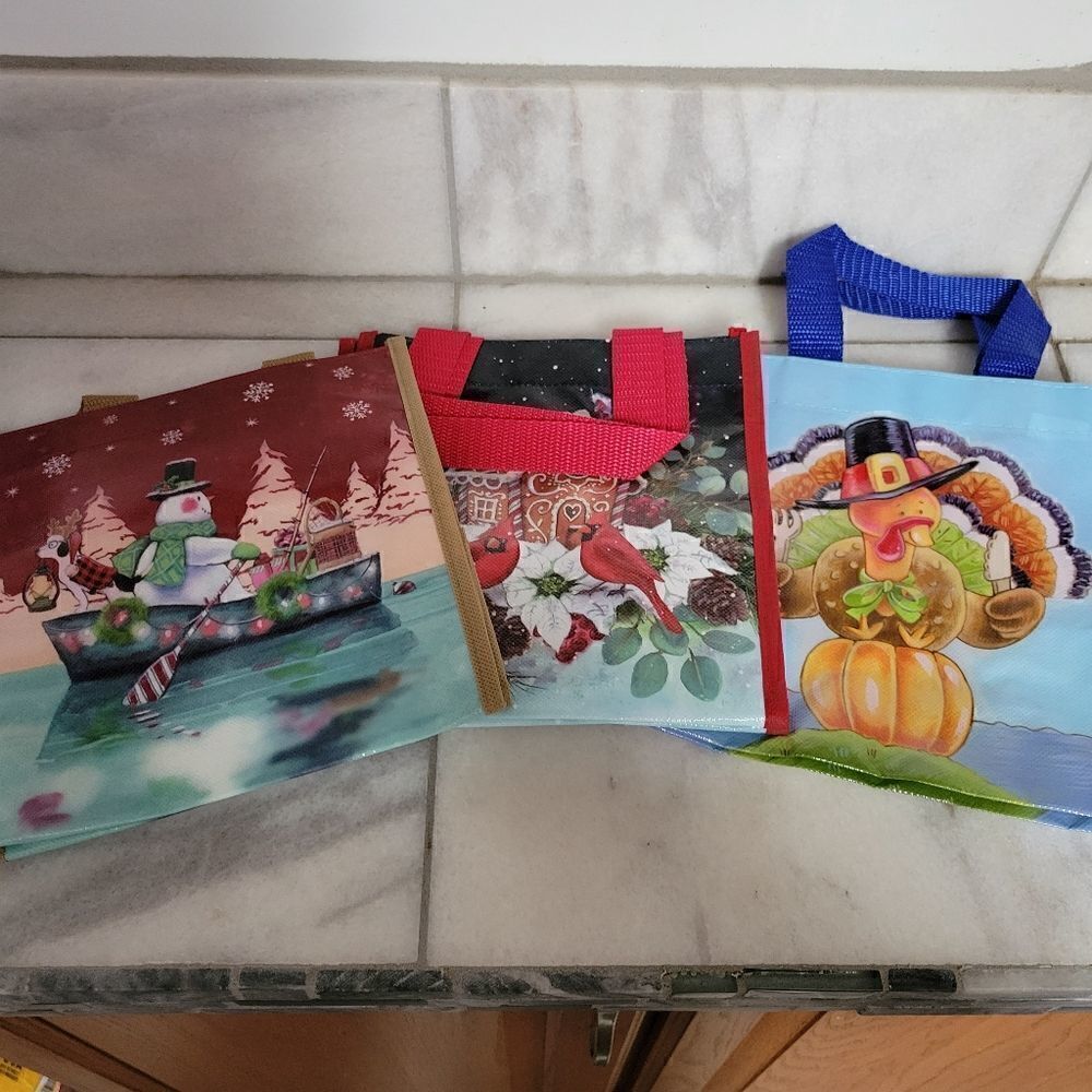 Lock and Lock Reusable Gift Bags, set of 3. NEW
